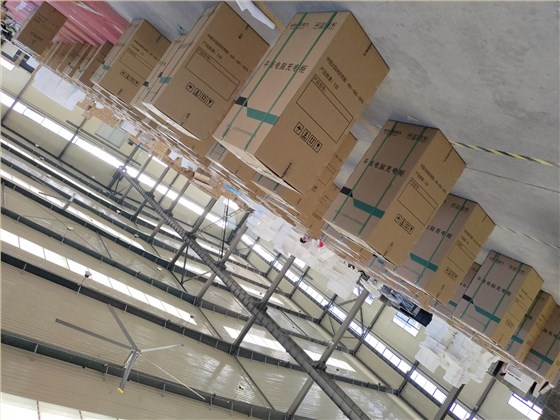 2024.1.05工廠實拍